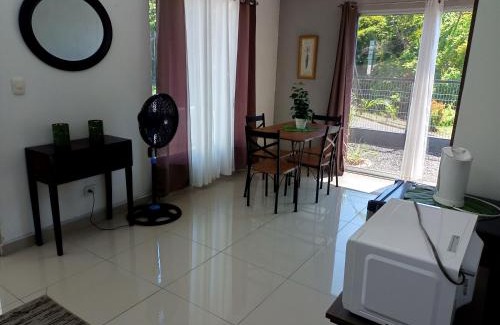 Coyolar Apartamento | Fruta mango 1