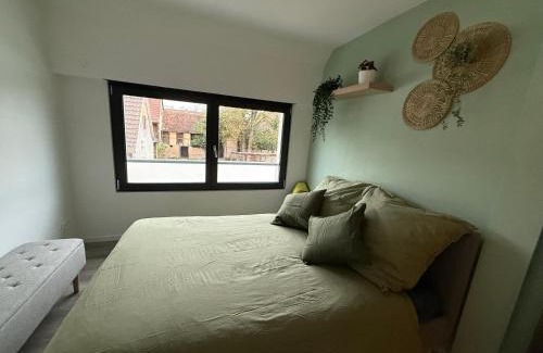 Widensolen Casa | Full House, Jacuzzi, Netflix, 8 pers, free Parking 10' Colmar