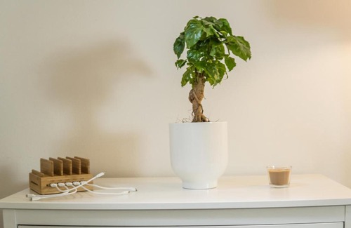 Zentrum-Nord Apartamento | FULL HOUSE Studios - The Jungle Apartment - NETFLIX, WiFi inkl
