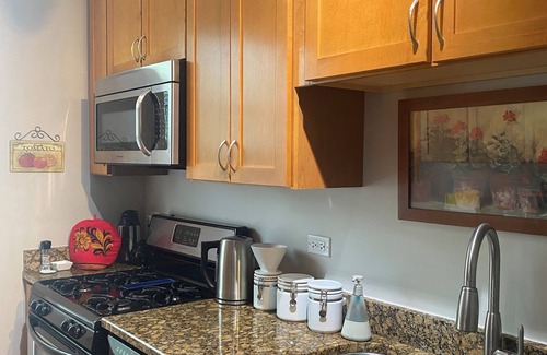 Irving Park Condominio | Fully furnished 2 Bdrm. In Old Irving Park. Easy walk to Blue Line.