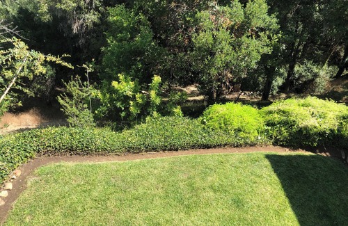 Encinitas Casa | FULLY FURNISHED MID-TERM RENTAL: Treehouse Oasis - A peaceful haven in Encinitas
