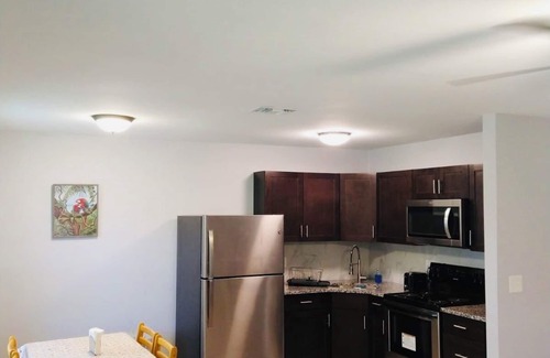 Highpoint Apartamento | Fully Renovated Apt B in Clearwater