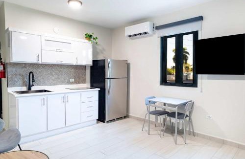 Dorado Pueblo Apartamento | Fully Renovated Beachside with Oceanview 1 Bedroom Unit 5