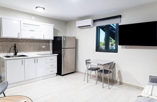 Dorado Pueblo Apartamento | Fully Renovated Beachside with Oceanview 1 Bedroom Unit 7