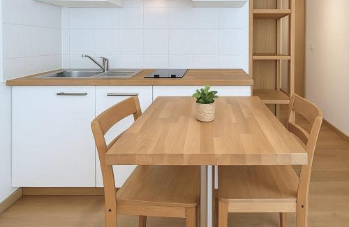 Part Dieu - Bir Hakeim Apartamento | Functional and well located studio close to metro and shops