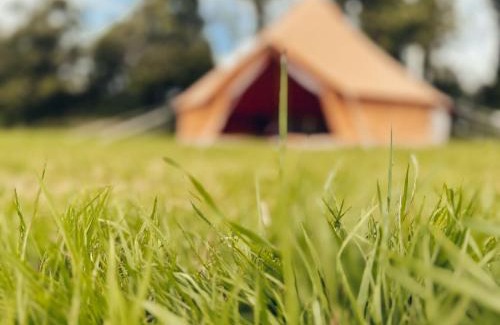 Carlyon Otro | Furnished Bell Tent 4