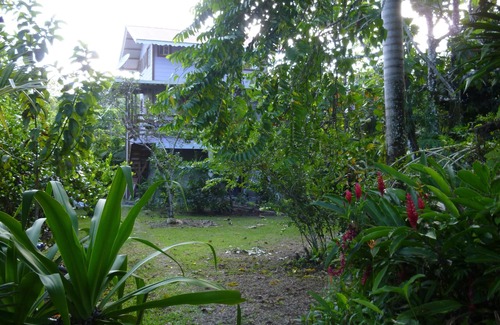 Big Creek Apartamento | Casa amueblada de estilo caribeño, a 150 metros de la playa y todavía cerca de la ciudad.