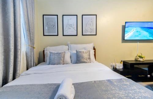 Ngong Apartamento | Furnished studio apartment