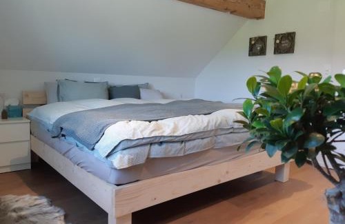 Neckertal Cama Y Desayuno | Gästehaus Aemisegg