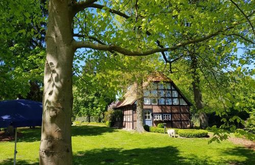 Borchel Chalet De Esquí | Gästehaus am Kattensteert