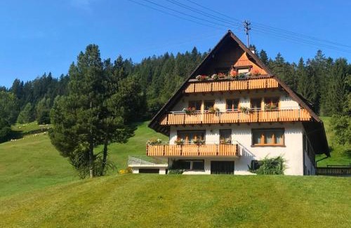 Bad Rippoldsau-Schapbach Apartamento | Gästehaus Brigitte Schoch