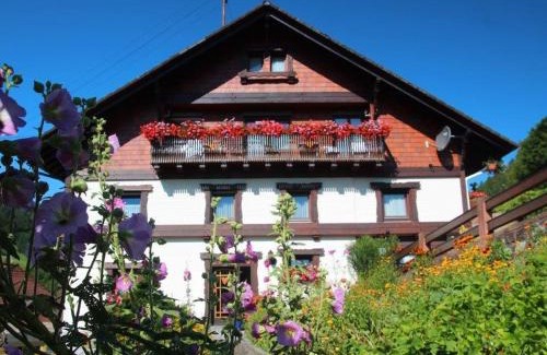 Bad Rippoldsau-Schapbach Casa | Gästehaus Heimenberg