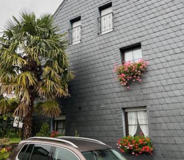 Mehring Apartamento | Gästehaus Elisabeth Bach