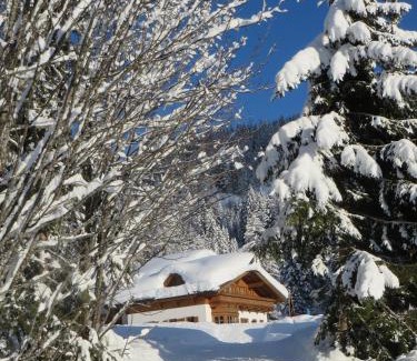 Muehlbach Am Hochkoenig Apartamento | Gästehaus Gschwandtner