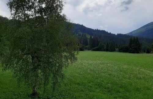 Zoeblen Apartamento | Gästehaus Koch