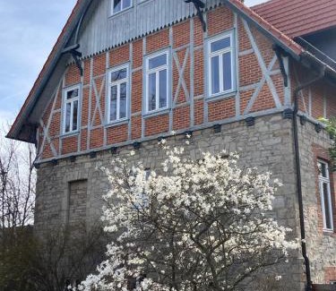 Thale Hotel | Gästehaus Musestieg