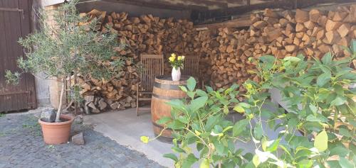Floersheim Dalsheim Apartamento | Gästehaus Ringhof