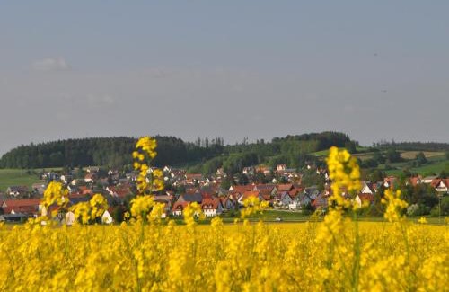 Unterallgau Apartamento | Gästehaus Schneider