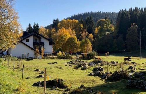 Blasiwald Apartamento | Gästehaus Seewald- Ferienwohnung 3 "Tanne", Schluchsee, Blasiwald