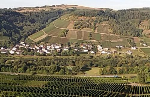 Schleich Casa | Gästehaus-Weingut Michael Scholer