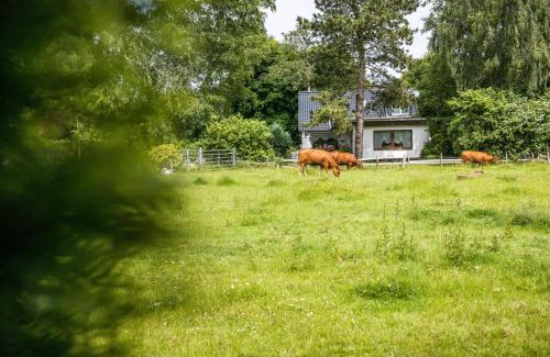 Tiebensee Apartamento | Gästehaus Ziegler