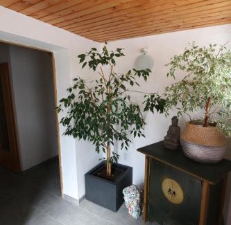 Hildesheim District Apartamento | Gästewohnung in Algermissen