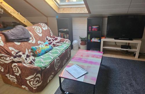 Unterallgau Apartamento | GästeZimmer im Altbau Dachgeschoss mit kleinem Bad WLAN, TV und Parkplatz