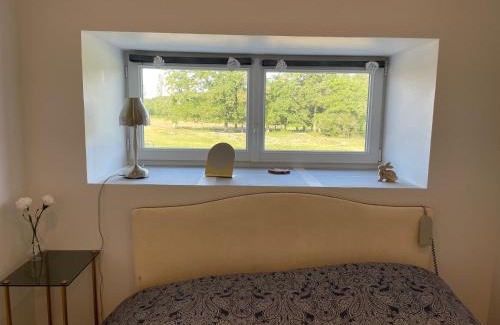 Lorris Apartamento | Gîte à la campagne 1 chambre Les Grandes Maisons Espace jacuzzi hammam SPA