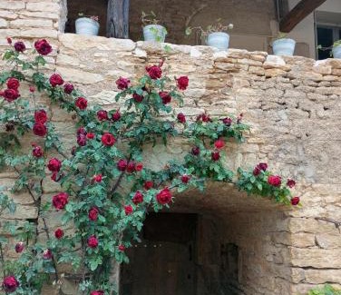 Viserny Casa | Gîte à la ferme