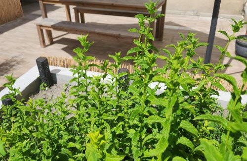 Lessay Casa | Gîte 3 étoiles l'incontournable de Lessay - 6 pers - animaux ok - jardin clos - bébé ok