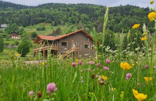 La Bresse Casa | Gîte 4 étoiles à La Bresse, grand confort, proche station ski - FR-1-589-394