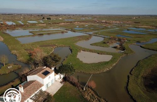 Bois-de-Cene Casa | Gîte 4 chambres avec bien-être et terrasses au cœur du Marais Breton - FR-1-426-559