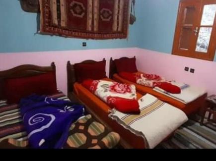 Imlil Casa | Gîte akioud mazik