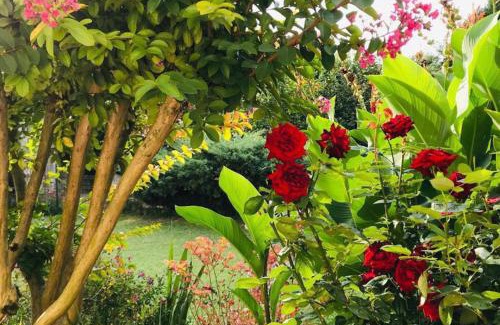 Tourtenay Casa | Gîte AU BOOM COEUR forfait Spa, Dîner & Petit-déjeuner inclus