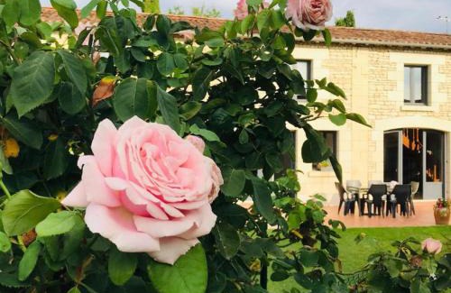 Tourtenay Casa | Gîte AU BOOM COEUR forfait Spa, Dîner & Petit-déjeuner inclus