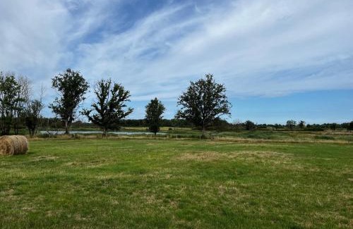 Migne Casa | Gîte au cœur du Parc de la Brenne avec jardin, terrasse et parking - FR-1-591-317