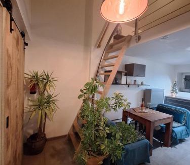 Haut-Bois Casa | Gîte Casa 17
