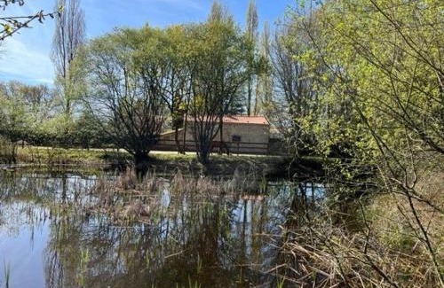 Mauves-sur-Loire Casa | Gîte charmant, spacieux, à 15 km de Nantes, 2 chambres, terrasse, parking, animaux acceptés - FR-1-306-1238