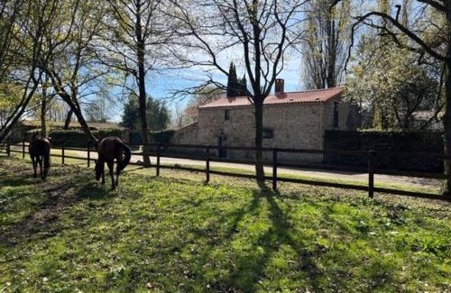 Mauves-sur-Loire Casa | Gîte charmant, spacieux, à 15 km de Nantes, 2 chambres, terrasse, parking, animaux acceptés - FR-1-306-1238