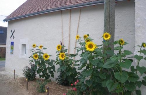Cigogne Casa | Gîte confort aux portes des châteaux, jardin, terrasse, WIFI, vélos, proche A85 et balades nature - FR-1-381-502
