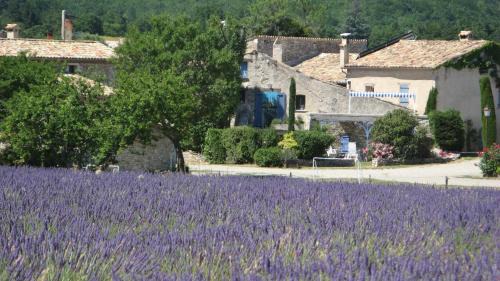 Sault Casa | Gîte de caractère au pied du Mont Ventoux avec piscine couverte
