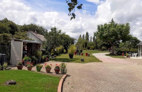 Oison Casa | Gîte de charme avec jardin et parking privé près de Paris et Orléans - FR-1-590-428