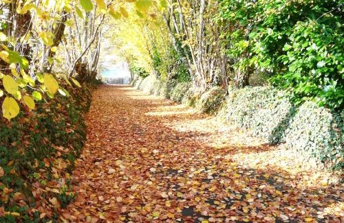 Coulans-sur-Gee Casa | Gîte de charme proche Le Mans avec jardin, parking, et bien-être - FR-1-410-205