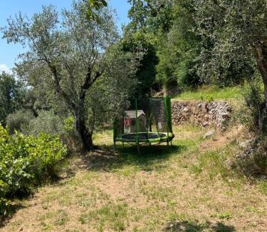Utelle Casa | Gîte des oliviers