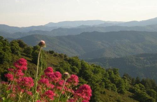 Moissac-Vallee-Francaise Casa | Gîte du Petit Sourel et sa vue panoramique