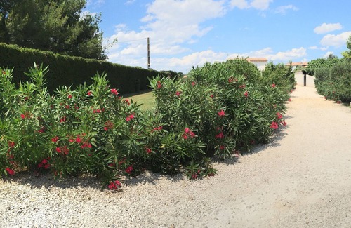 Arles Cabaña | Gîte du Petit Mandon-Arles-Crau-Camargue: una casa para 5 personas con spa
