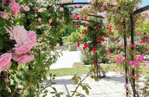 Modene Casa | Gîte en Provence 'Rose'