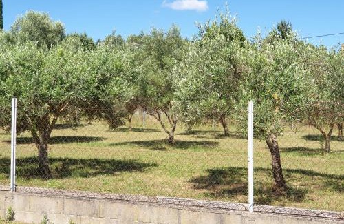 Saint-Christol-Les-Ales Apartamento | Gîte et piscine l'écrin aux oliviers en Cévennes