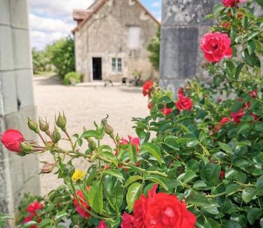Drache Casa | Gîte grande capacité en Touraine