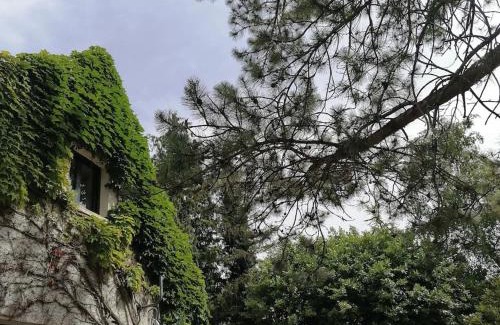 Curtil-Vergy Apartamento | Gîte Hautes Côtes de Nuits